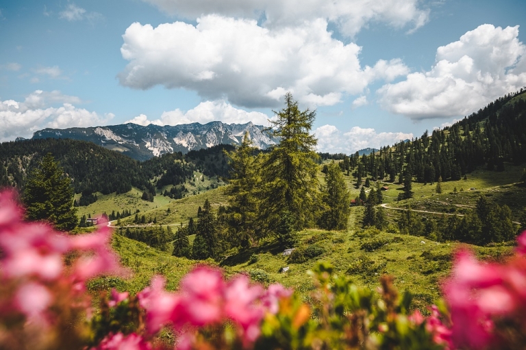 Naturerlebnis Kaisergebierge erleben und genießen