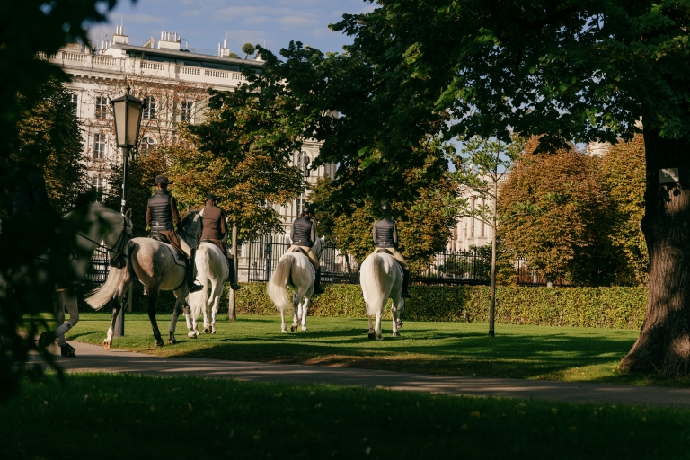 Lipizzaner im Burggarten