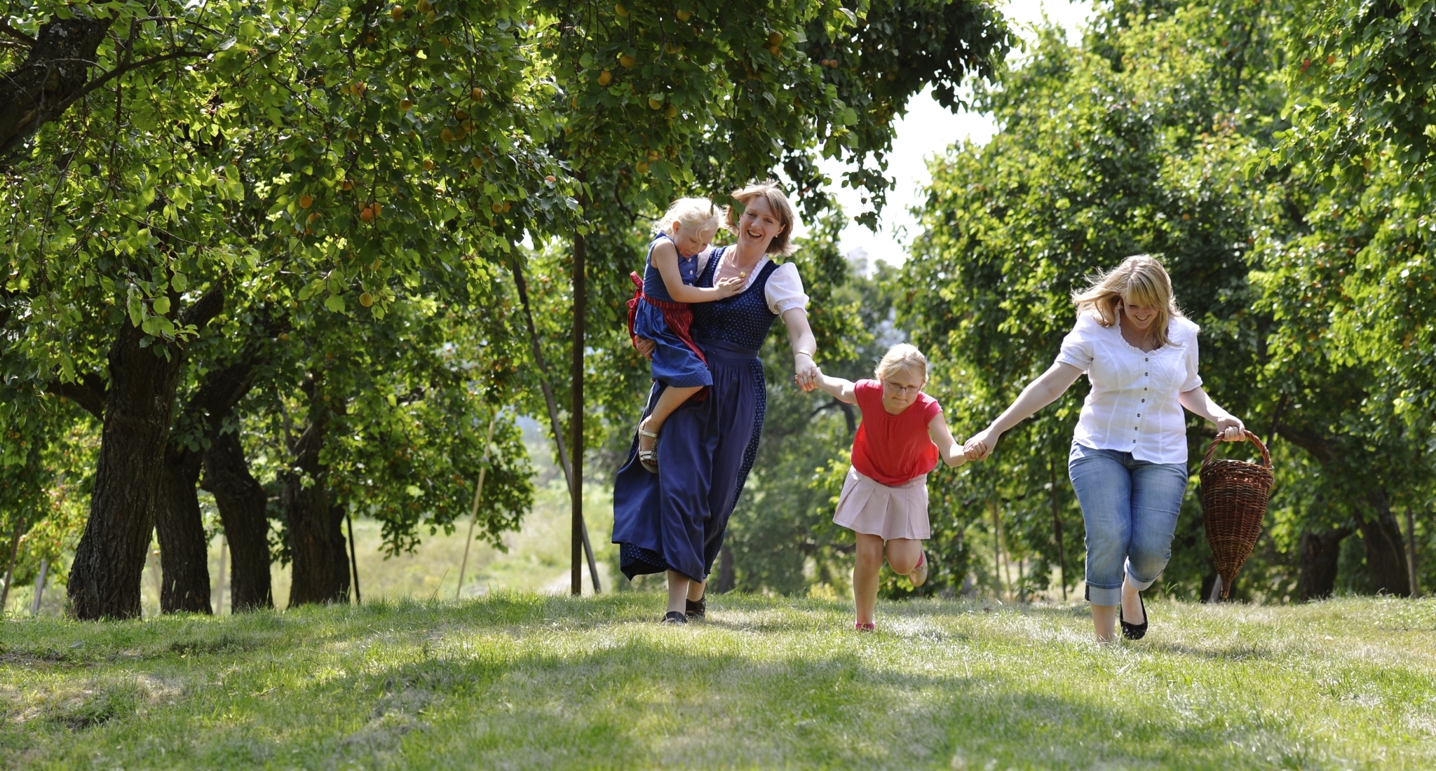 Familie spaziert durch Marillengarten