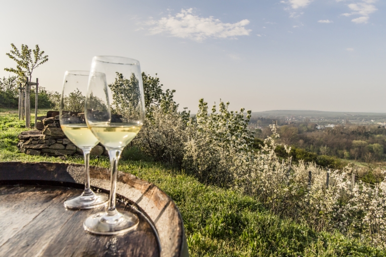 Weißwein in der Wachau