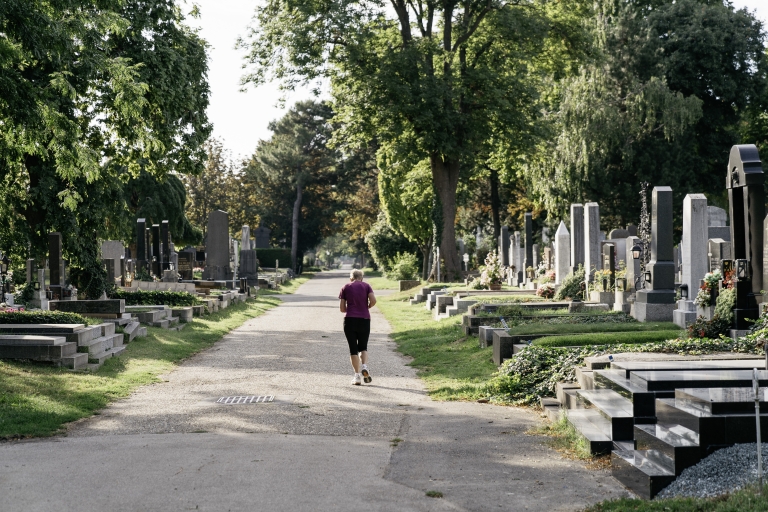 Zentralfriedhof